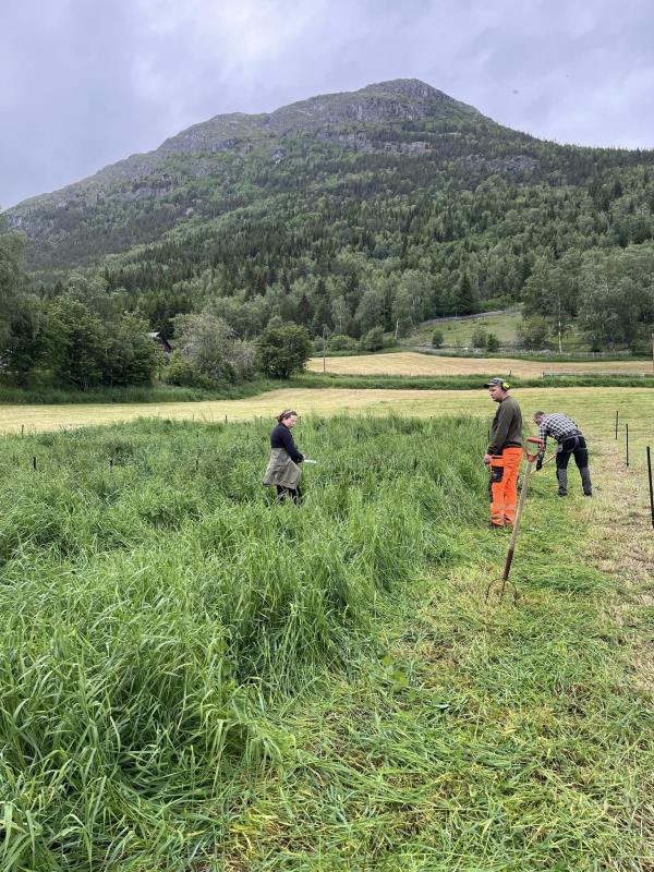 Lenke til artikkel: Bedriftsbesøk: Norsk Landbruksrådgivning