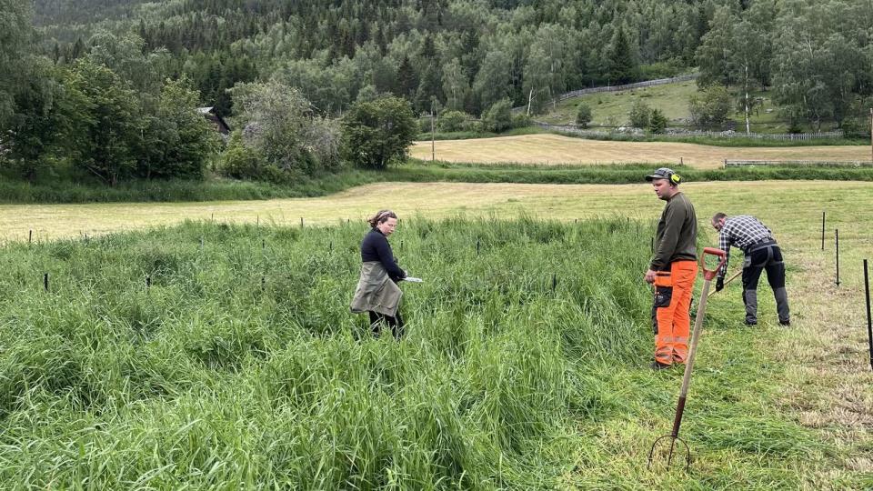 Lenke til artikkel: Bedriftsbesøk: Norsk Landbruksrådgivning