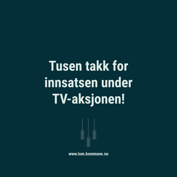Lenke til artikkel: Tusen takk for innsatsen under TV-aksjonen!