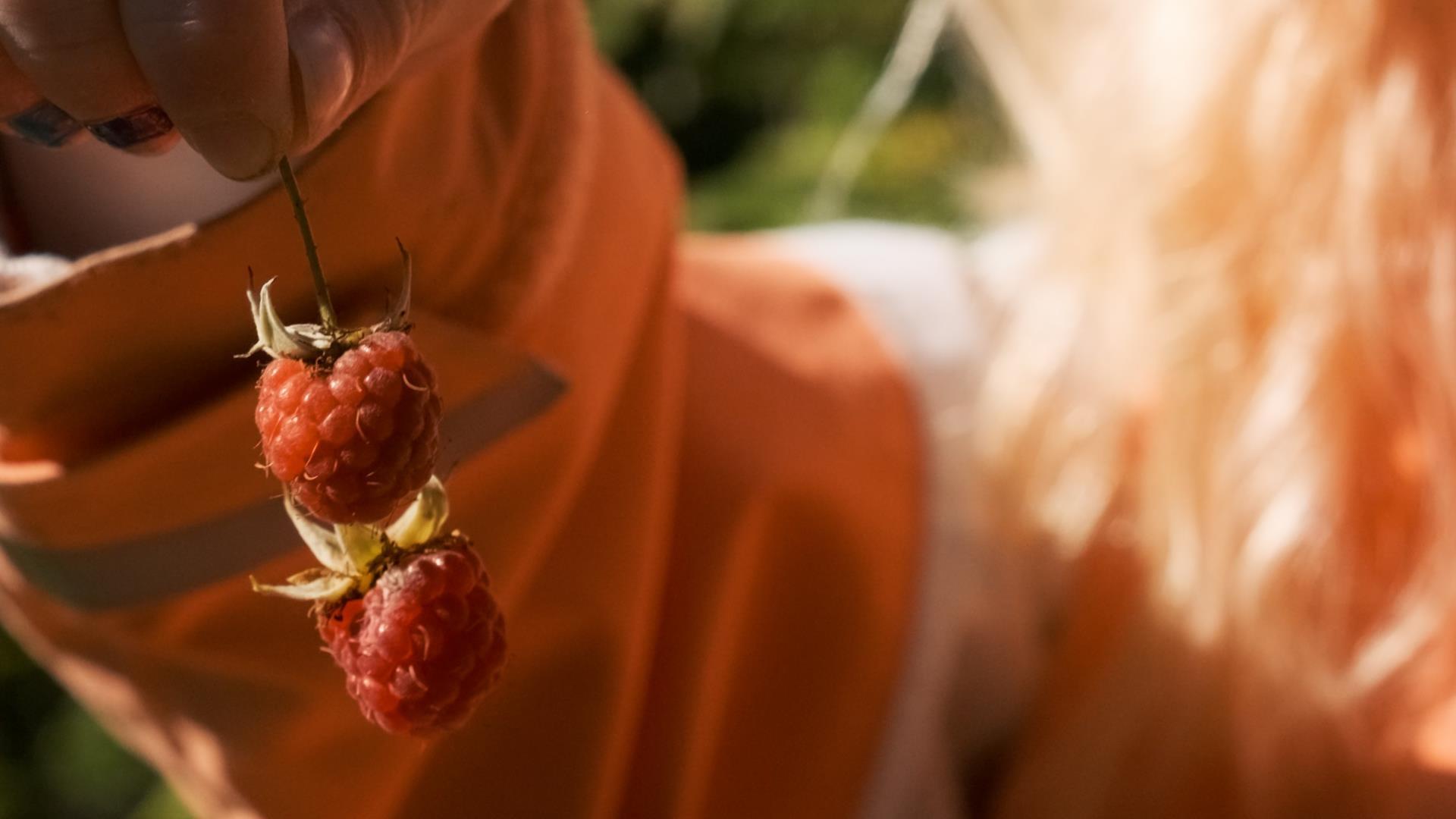 Bringbær i barnehender