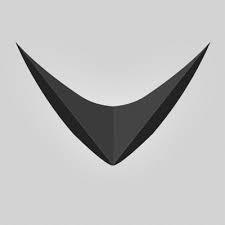 RAYVN sin logo - Klikk for stort bilde